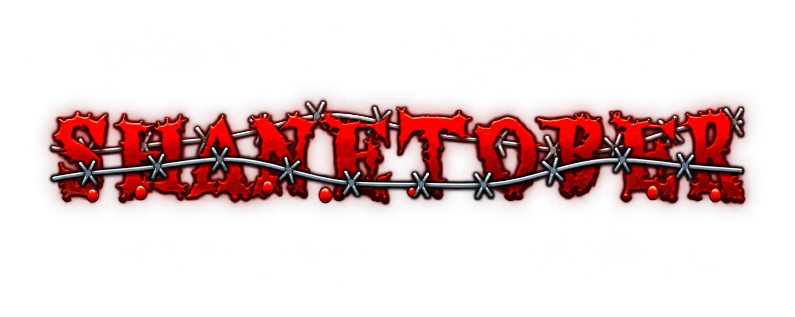 ShaneTober Logo